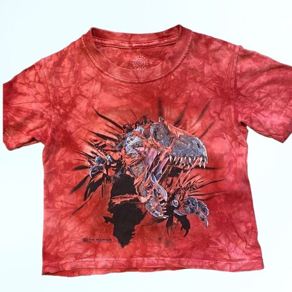 Kids The Mountain (S) Tyrannosaurus Rex Graphic T-Shirt - Picture 1 of 5